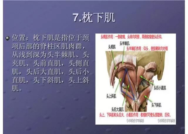 2024年香港免費(fèi)資料推薦_絕對經(jīng)典解剖落實(shí)_尊貴版248.249.57.156