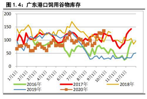 今日玉米價(jià)格預(yù)測(cè)及市場(chǎng)走勢(shì)分析與展望